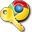 Chrome Password Recovery Master