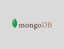 MongoDB Java Driver