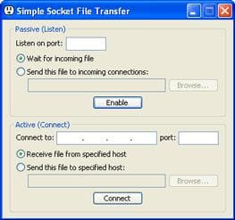 Simple Socket File Transfer