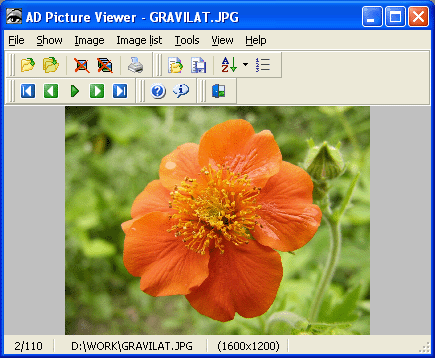 AD Picture Viewer