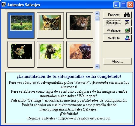 Animales Salvajes