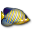 Animated Fish Desktop Wallpaper