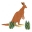 Australian Fauna Screensaver