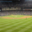 Baseball Videos Daily for Windows 8