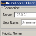 BruteForcer