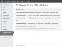 Custom JS and CSS