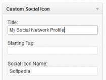 Custom Social Widget