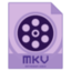 Dimo MKV Video Converter