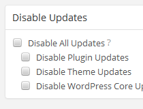 Disable Updates Manager