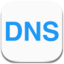 DNS Setter