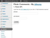 Flickr Comments