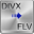 Free DIVX to FLV Converter