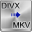 Free DIVX to MKV Converter