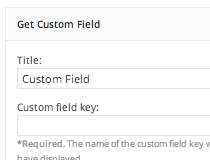 Get Custom Field Values