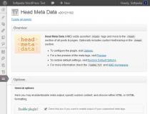 Head Meta Data