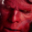 Hellboy screensaver