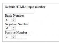 jQuery HTML5 like input number