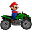 Mario Driver