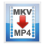 MKV2MP4