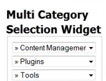 Multiple Category Selection Widget