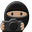 Photo Ninja (32-bit)