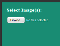 PHP File Uploader