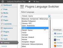 Plugins Language Switcher