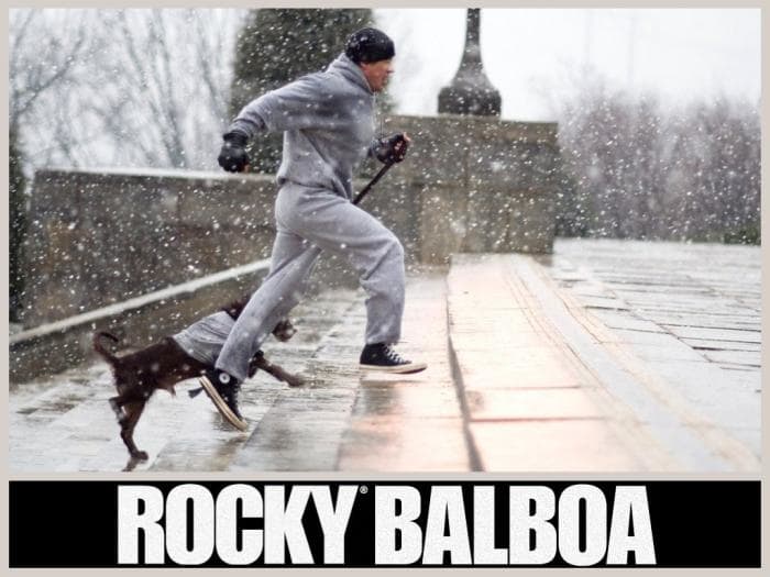 Rocky Balboa Wallpaper