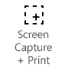Screen Capture + Print
