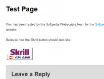 Skrill (WordPress)