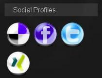 Social Profiles Sidebar Widget
