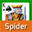 Spider Solitaire Collection Free (Windows 8)