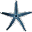 StarFisher Portabe