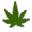 The Cannabis Strain Directory