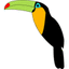 Toucan