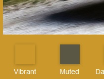 Vibrant.js