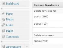 Wordpress Cleanup
