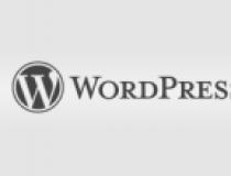 WordPress Options