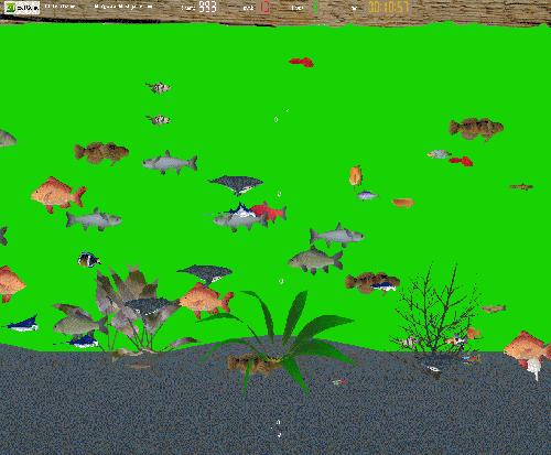 3D Fish Game
