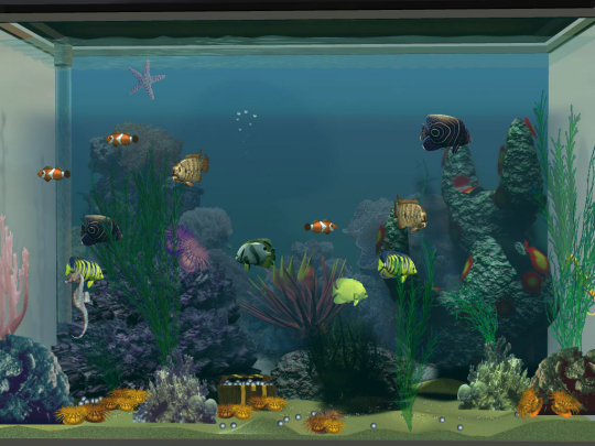 3D Salt Water Fish Tank