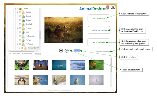 Animal Desktop Wallpaper Screensaver App