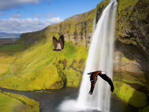 Animated Waterfall Screensaver with Eagles