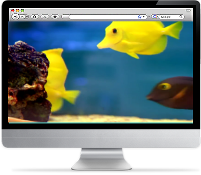 Aquarium Screensaver 2