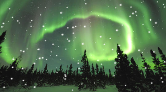 Aurora Borealis Animated Wallpaper