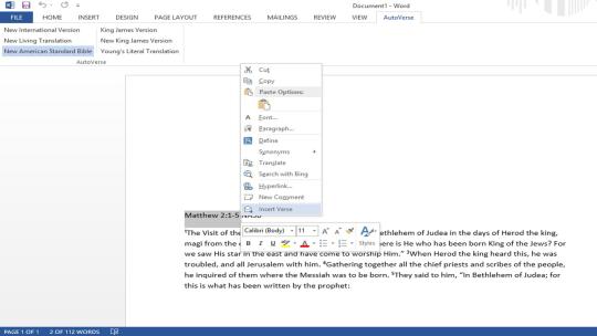 AutoVerse Add-in for Microsoft Word 2010/2013