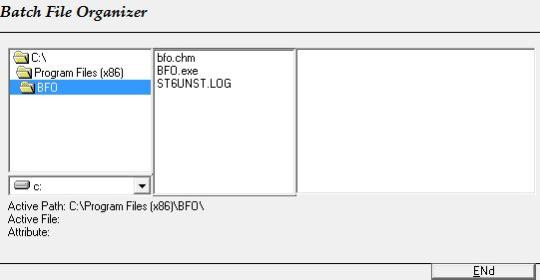 Batch File Organizer