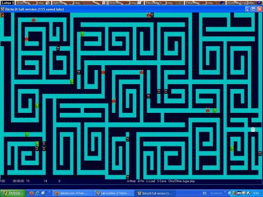 Bicho3t Labyrinth