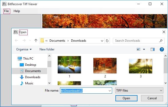 BitRecover TIFF Viewer