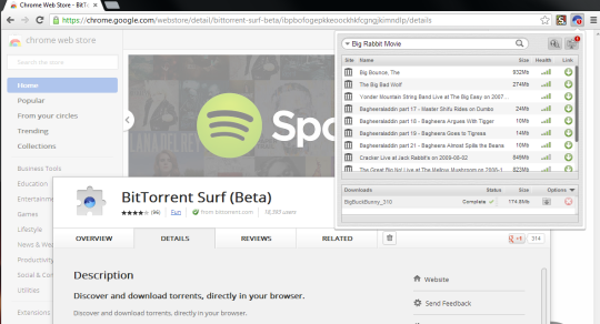 BitTorrent Surf (Beta) for Chrome
