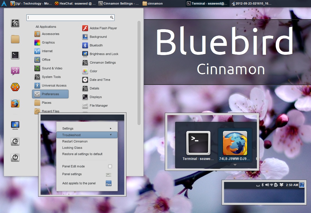 Bluebird-Cinnamon